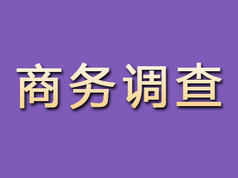 松阳商务调查