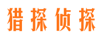 松阳市场调查